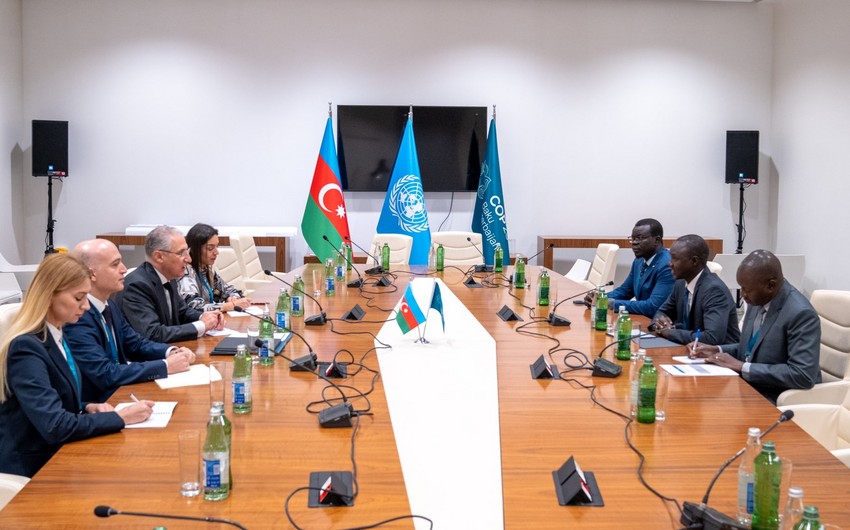 Azerbaijan, South Sudan mull COP29