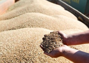 Kazakhstan will impose a ban on the export of flour and grain