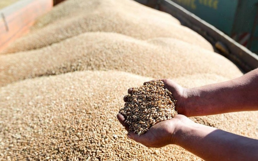 Kazakhstan will impose a ban on the export of flour and grain