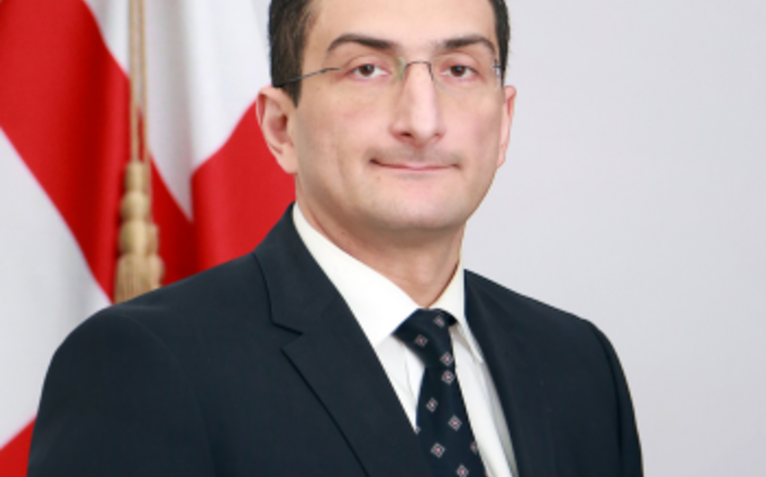 Gigi Gigiadze: SOCAR is largest Azerbaijani investor in Georgia