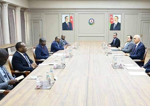 Заместитель премьер-министра встретился с вице-президентом Танзании