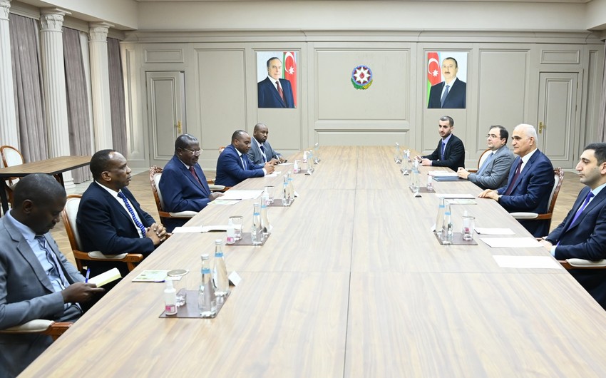 Заместитель премьер-министра встретился с вице-президентом Танзании