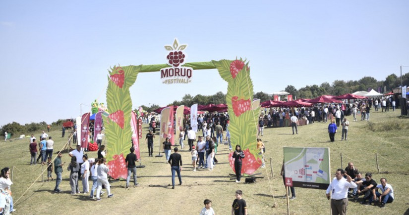 Azərbaycanda ilk dəfə “Moruq Festivalı” keçirilir