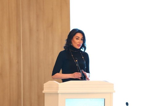 Омбудсмен рассказала об экологических преступлениях Армении на международном симпозиуме