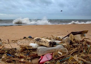 Scientists reveal what happens to plastic from oceans