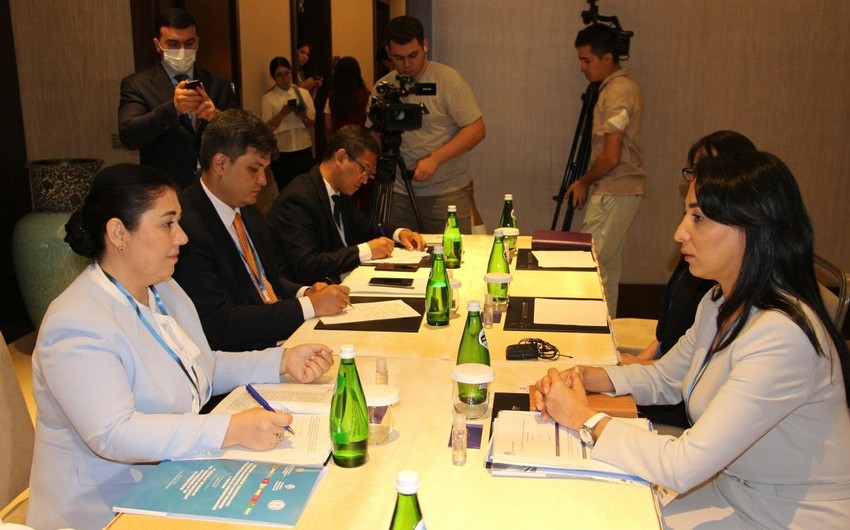 Состоялась встреча между омбудсменами Азербайджана и Узбекистана