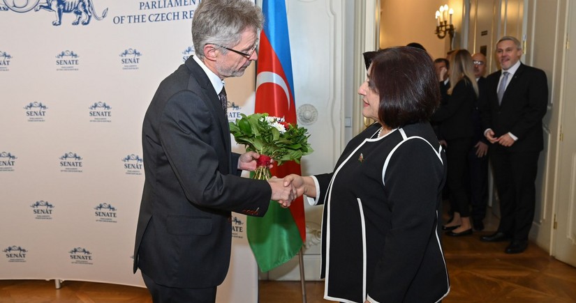 Сахиба Гафарова проинформировала председателя Сената Чехии о военно-политических провокациях Армении