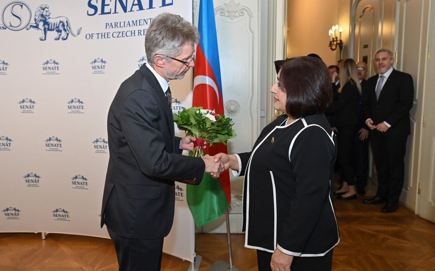 Sahiba Gafarova informs President of Senate of Czech Parliament about military and political provocations of Armenia