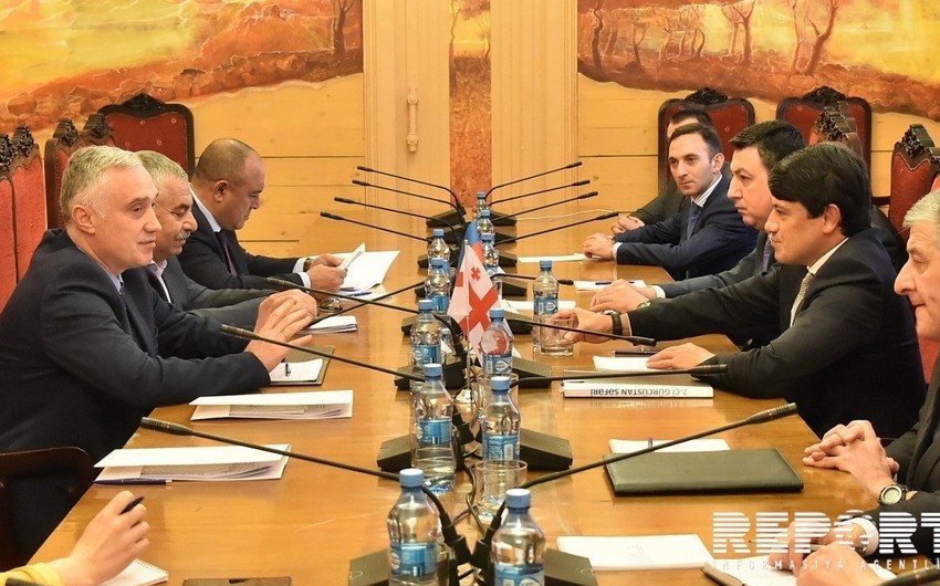 Сотрудничество между Тбилиси и Баку должно еще более углубляться - вице-спикер парламента Грузии - ФОТО