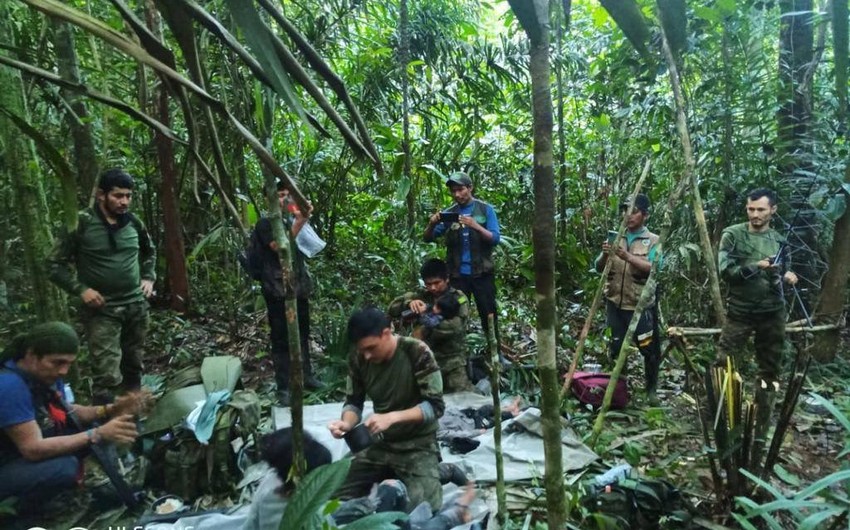 Colombia plane crash: Four children found alive in Amazon after 40 days