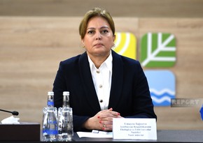 Umayra Taghiyeva: Azerbaijan making efforts to reduce emissions of gases that create greenhouse effect