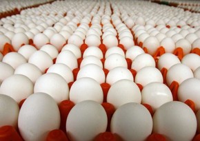 За январь 2024 года Азербайджан поставил в Россию 4,2 млн яиц