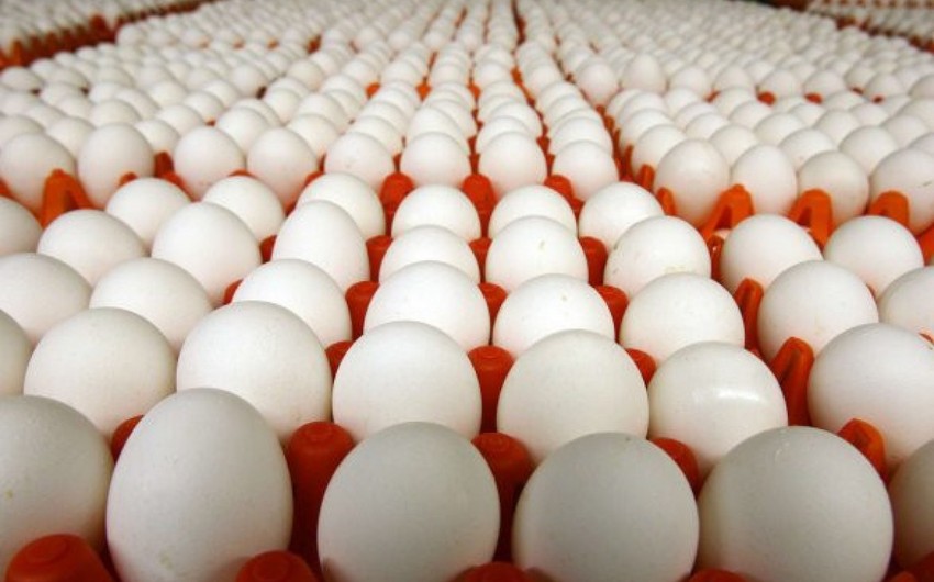 Azerbaijan supplied 4.2 million eggs to Russia in January 2024