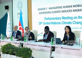 В Баку в рамках COP29 обсуждены вопросы вынужденного переселения и миграции из-за изменения климата 