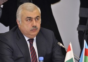 Nazir müavini: Regionlarda sənaye məhəllələri yaradılacaq