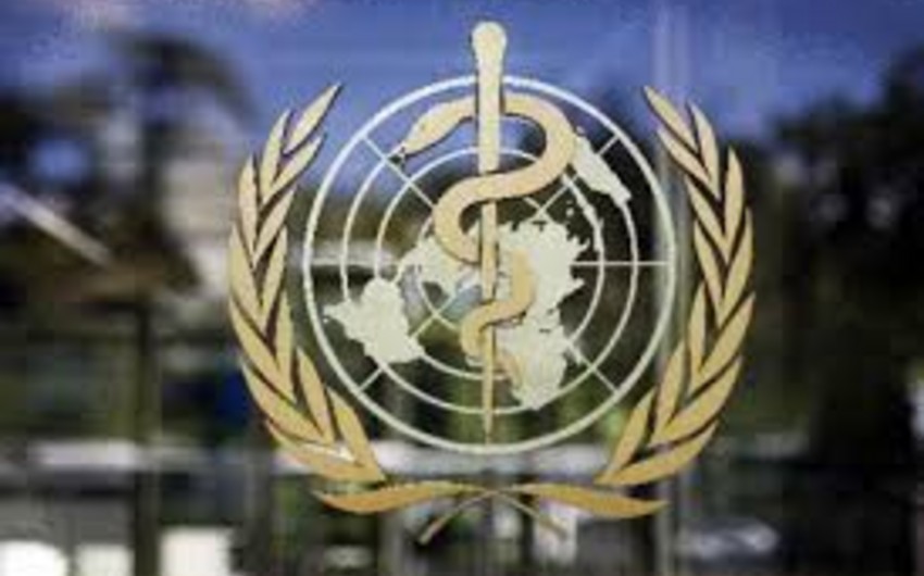 ВОЗ: В зонах конфликтов за два года погибли почти тысяча медиков