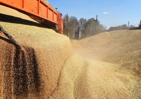 Китай призвал создать зеленый коридор для вывоза зерна из Украины и России