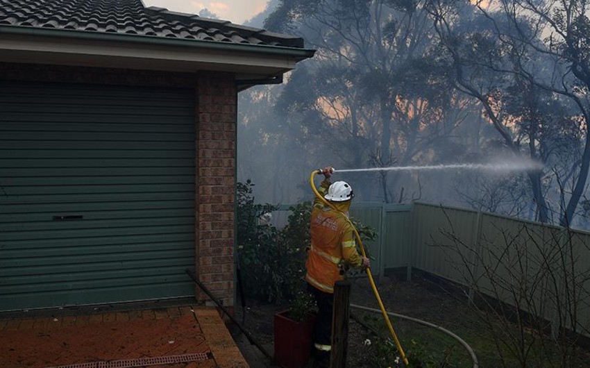 Более 150 домов были разрушены из-за лесных пожаров в Австралии - ФОТО