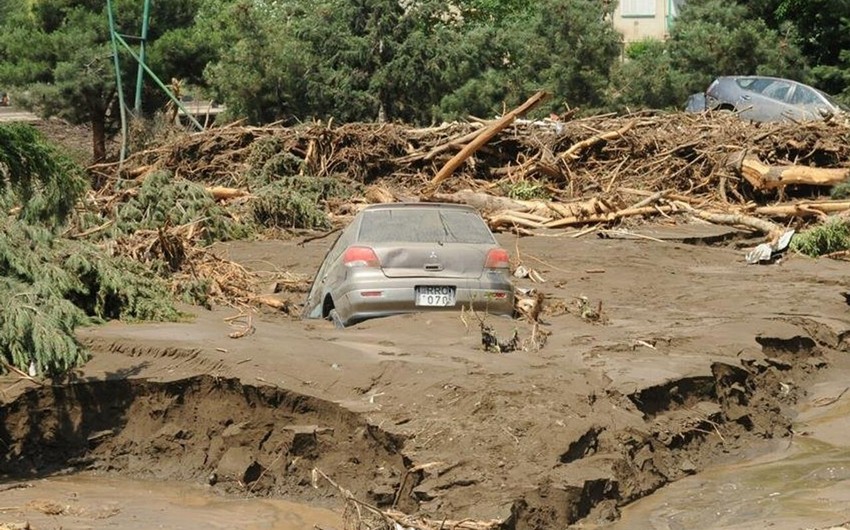 Damage due to natural disaster in Georgia could exceed tens of millions ...