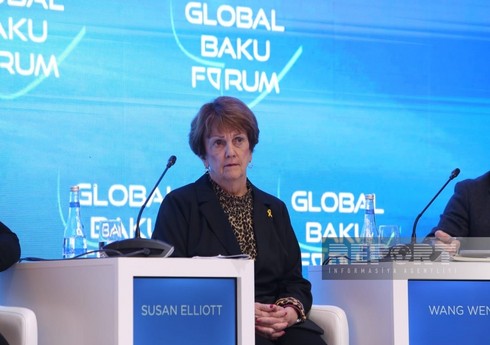 Сьюзан Эллиотт: АСЕАН – удачный пример регионального сотрудничества