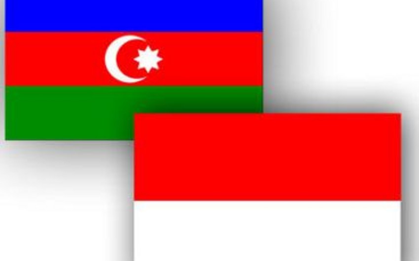​В Баку была организована встреча предпринимателей из Азербайджана и Индонезии