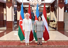 Chairs of Azerbaijani, Lithuanian parliaments mull prospects for co-op development 