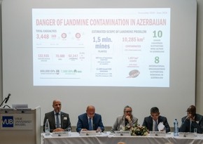 UNDP, Azerbaijan’s Mission to EU discuss mine action
