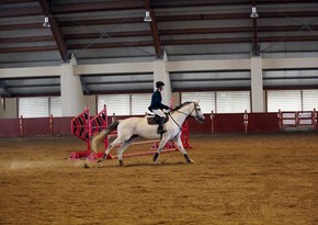 Bina Equestrian Center hosts first contest competition of year held in closed manege