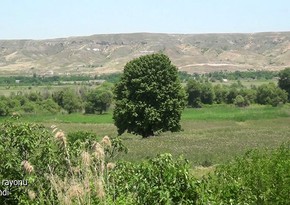 Footage from Tinli village of Gubadli 