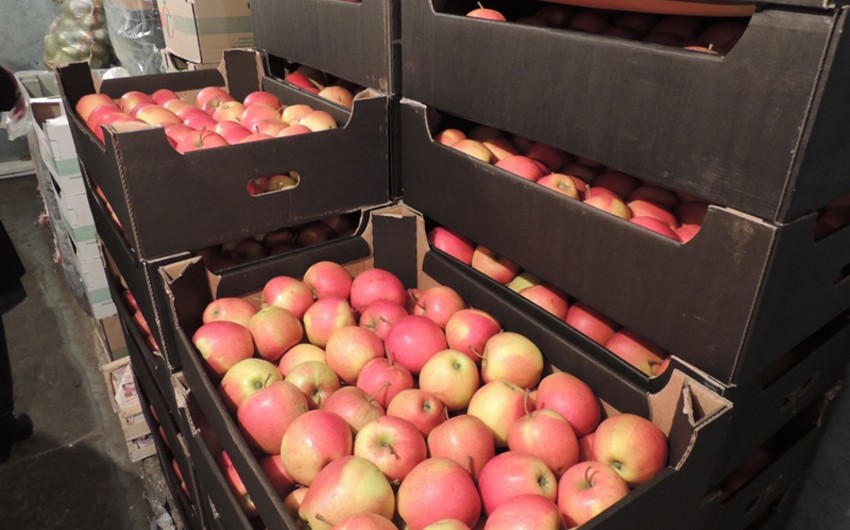 Из международной компании в Азербайджане украли 2 тонны яблок