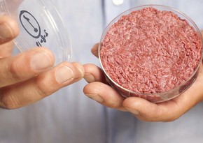 Scientists: Meat, milk to become artificial in future