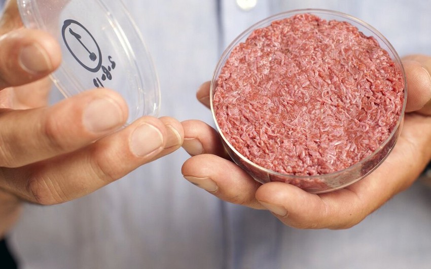 Scientists: Meat, milk to become artificial in future