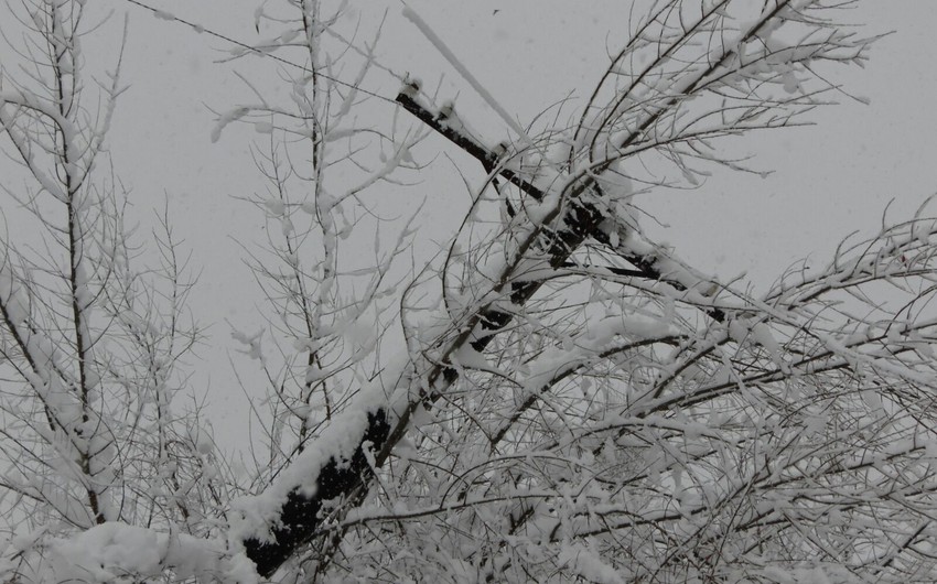 Heavy snow causes power supply interruption in Goychay region