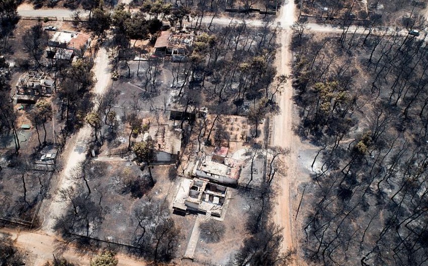 Число жертв лесных пожаров в пригородах Афин достигло 95 человек