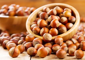 Turkey sees decline in revenues from hazelnut export