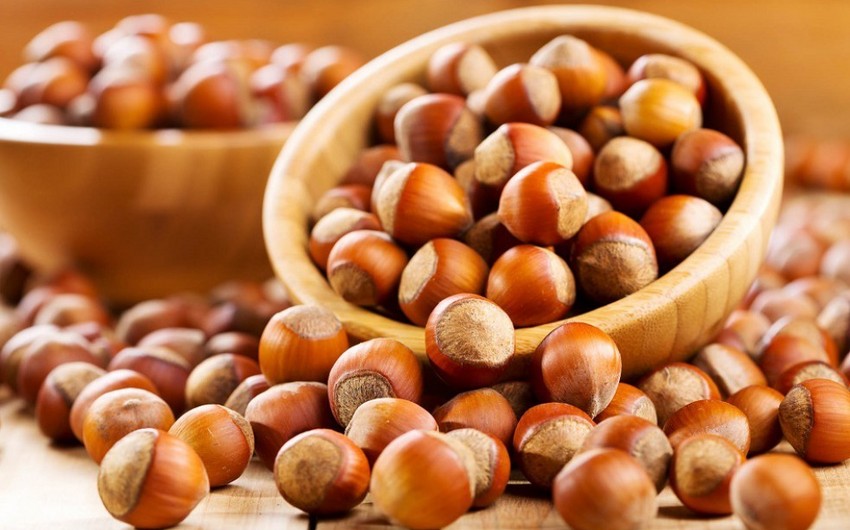 Turkey sees decline in revenues from hazelnut export