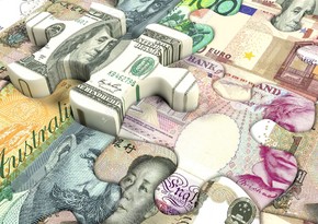 Dollar rashly growing in Turkey