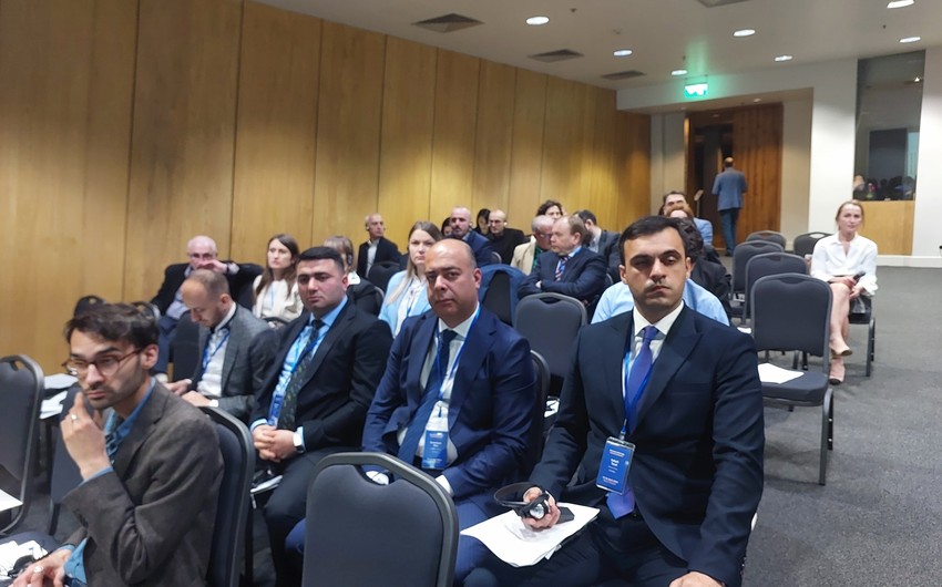 Azərbaycan Tbilisidə keçirilən enerji konfransında təmsil olunur
