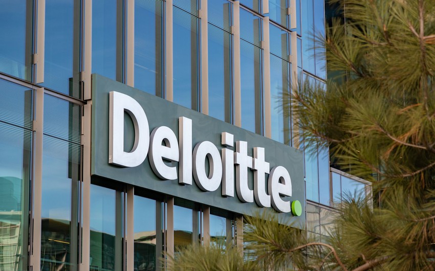 Отделение Deloitte в США решило отменить программы в области многообразия