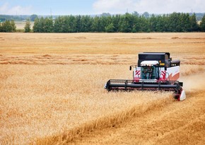 Azerbaijan will apply German experience in agricultural cooperation