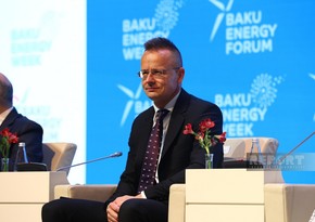 Nuclear energy crucial for meeting growing energy demands, says Szijjártó