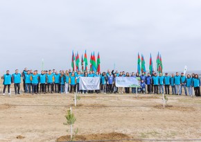 Сотрудники AZAL посадили более 600 деревьев в рамках Года солидарности во имя зеленого мира