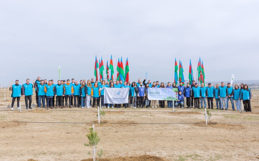 Сотрудники AZAL посадили более 600 деревьев в рамках Года солидарности во имя зеленого мира