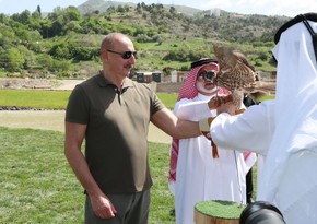 East Caucasian turs, falcons released into the wild, different species of fish into Hakari river