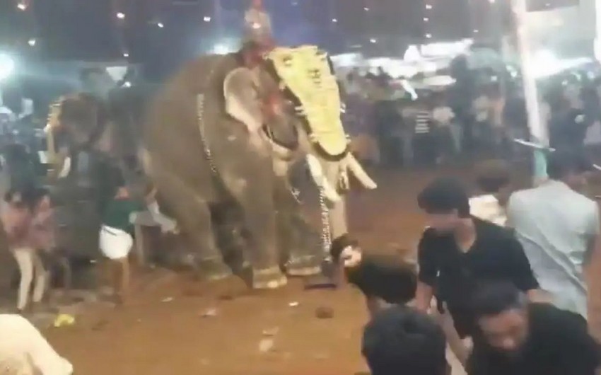 Elephant goes on rampage at Indian festival, leaving 17 injured