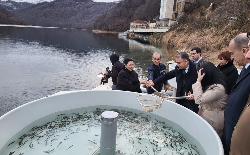 В Гейгельском национальном парке в водоем выпущено более 1 500 мальков