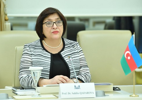Спикер Милли Меджлиса встретилась с делегацией парламента Турции
