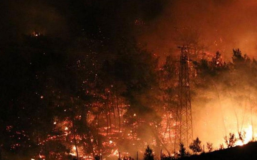 В Генконсульстве Азербайджана в Турции открыта горячая линия в связи с пожарами