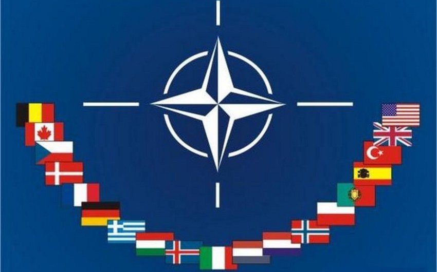 В Баку обсудят перспективы сотрудничества НАТО со странами-партнерами перед саммитом Альянса