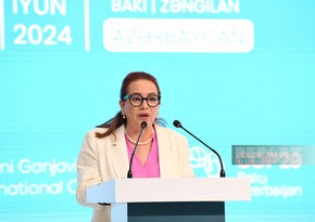 BMT Baş Assambleyasının 73-cü sessiyasının sədri: COP29-un uğuru təkcə Azərbaycanın uğuru olmayacaq